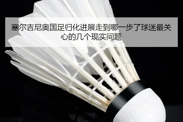 塞尔吉尼奥国足归化进展走到哪一步了球迷最关心的几个现实问题